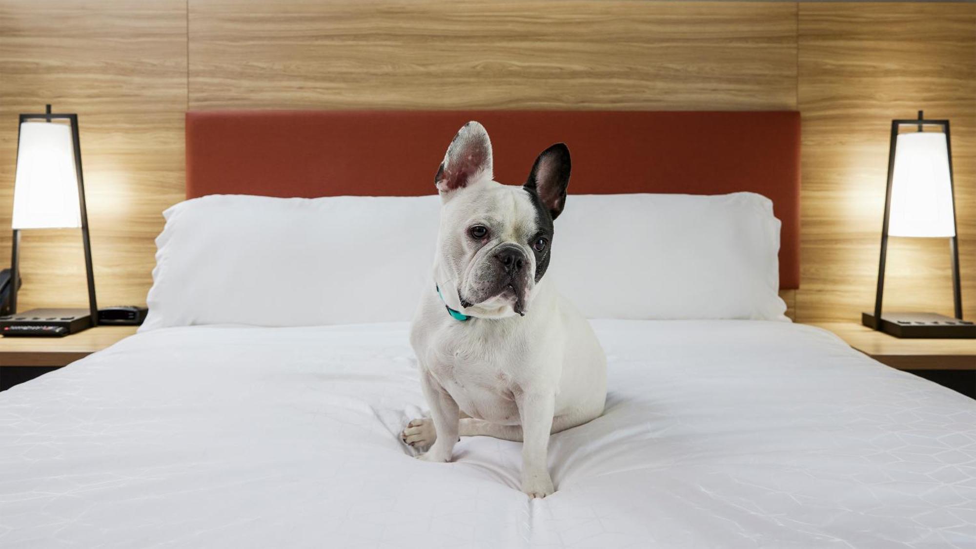 Candlewood Suites Junction City - Ft. Riley By Ihg Екстер'єр фото